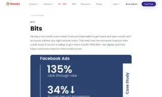 Preview of the Bits Case Study