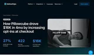 Preview of the Pillowcube Case Study