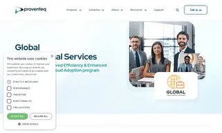 Preview of the Global Professional Services Firm Case Study