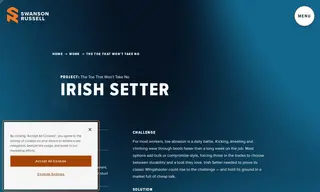 Preview of the Irish Setter Case Study