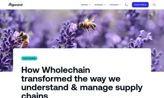 Preview of the Wholechain Case Study