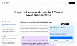 Preview of the Voggt Case Study