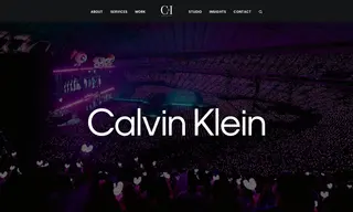 Preview of the Calvin Klein Case Study