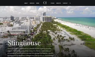 Preview of the Stinghouse Advertising Case Study