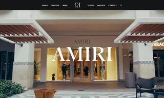 Preview of the Amiri Case Study