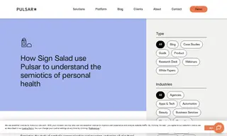 Preview of the Sign Salad Case Study
