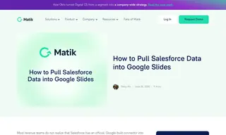 Preview of the Salesforce Case Study