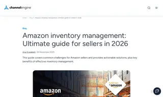 Preview of the Amazon FBA Sellers Case Study