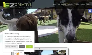 Preview of the The Bone Adventure Case Study