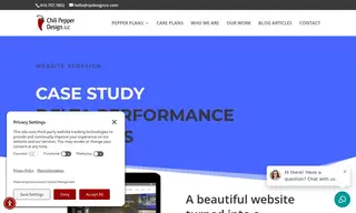Preview of the Delta Performance Products Case Study