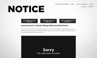 Preview of the Porsche Case Study