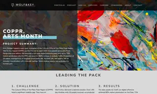 Preview of the Cultural Office of the Pikes Peak Region Case Study