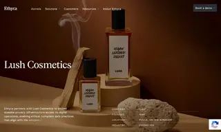 Preview of the Lush Cosmetics Case Study