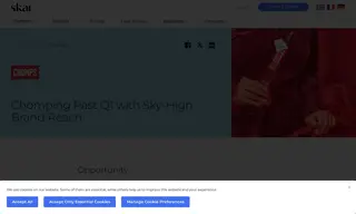Preview of the Chomps Case Study