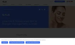 Preview of the GALE Case Study