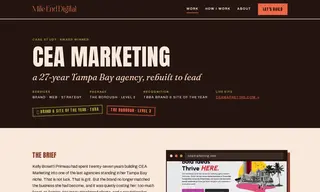 Preview of the CEA Marketing Case Study