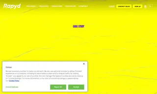 Preview of the Segpay Case Study
