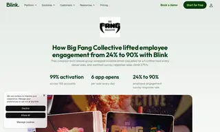 Preview of the Big Fang Collective Case Study