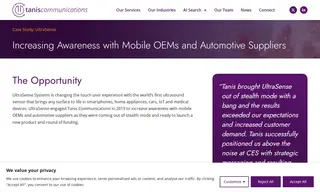 Preview of the UltraSense Systems Case Study