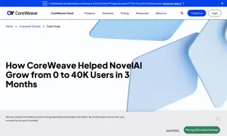 Preview of the NovelAI Case Study