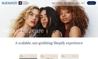Preview of the Messy Haircare Case Study
