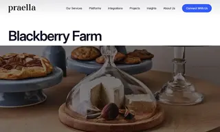 Preview of the Blackberry Farm Case Study