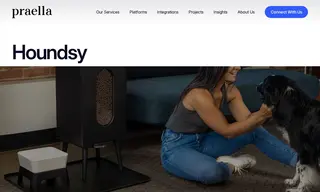 Preview of the Houndsy Case Study