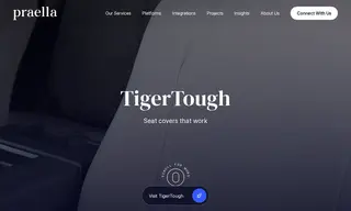 Preview of the TigerTough Case Study
