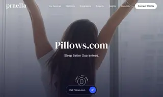 Preview of the Pillows.com Case Study