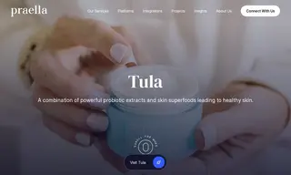 Preview of the Tula Skincare Case Study