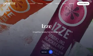 Preview of the IZZE Case Study