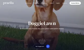 Preview of the DoggieLawn Case Study