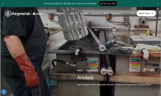 Preview of the Anolaze Case Study