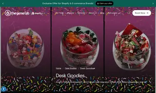 Preview of the Desk Goodies Case Study