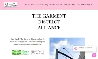 Preview of the The Garment District Alliance Case Study