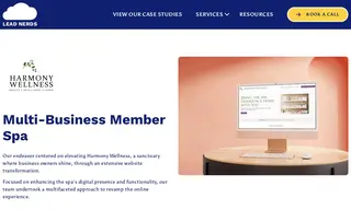 Preview of the Harmony Wellness Case Study