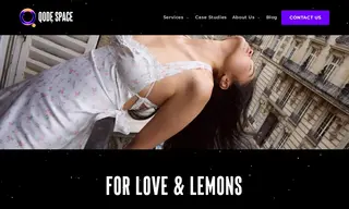 Preview of the For Love & Lemons Case Study