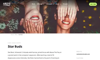 Preview of the Star Buds Case Study