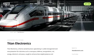 Preview of the Titan Electronics Case Study