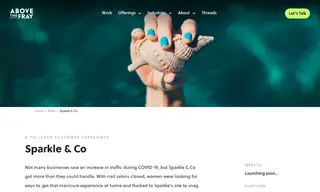 Preview of the Sparkle & Co Case Study