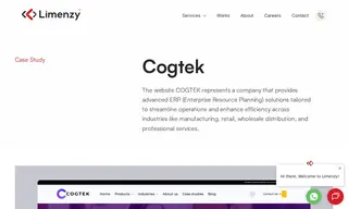 Preview of the Cogtek Case Study