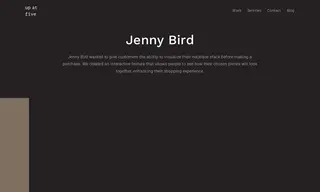 Preview of the Jenny Bird Case Study