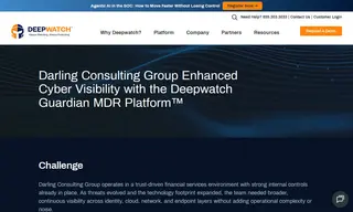 Preview of the Darling Consulting Group Case Study