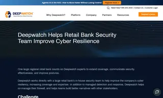 Preview of the One Large Regional Retail Bank Case Study