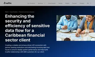 Preview of the Caribbean Financial Company Case Study