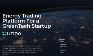 Preview of the Lition Case Study