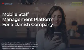 Preview of the Danish Company Case Study
