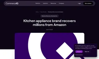 Preview of the Kitchen Appliance Brand Case Study