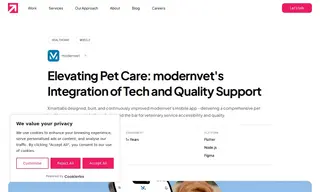 Preview of the Modernvet Case Study