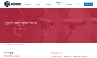 Preview of the NetOne Case Study